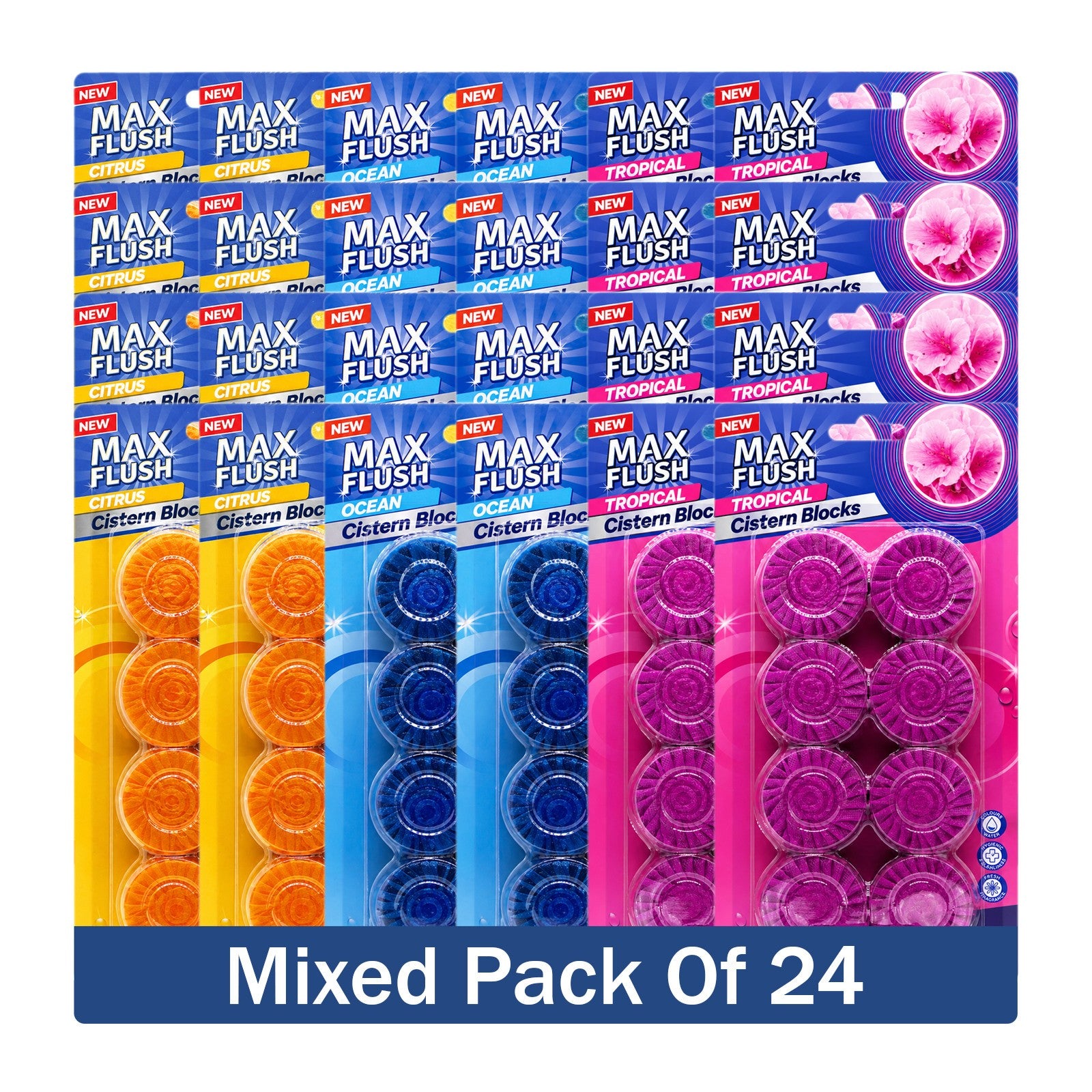 https://i.ebayimg.com/00/s/MTYwMFgxNjAw/z/uQoAAeSwSoFqBeZ2/$_57.JPG?set_id=880000500F