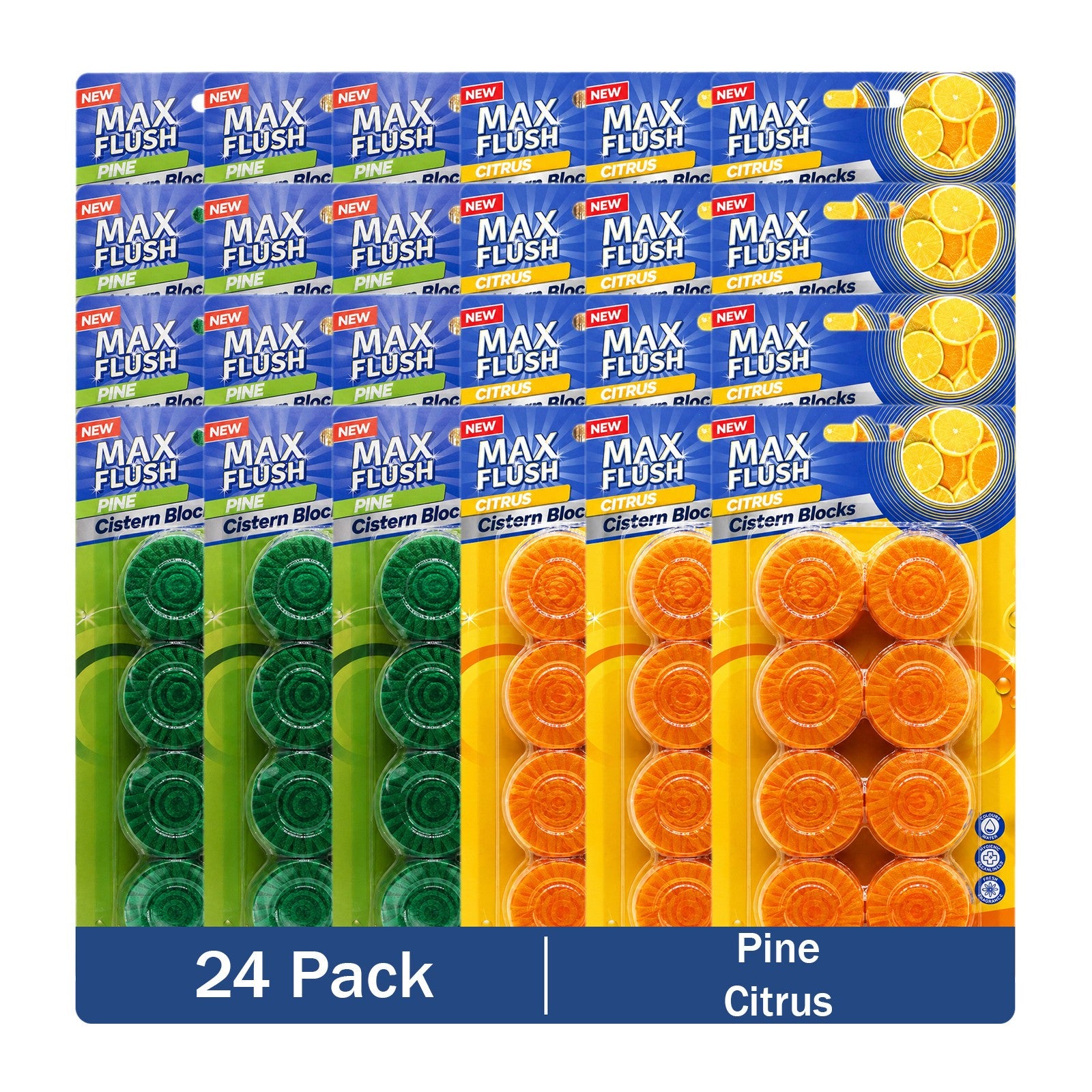 https://i.ebayimg.com/00/s/MTYwMFgxNjAw/z/zAkAAeSwwSZqBeaD/$_57.JPG?set_id=880000500F