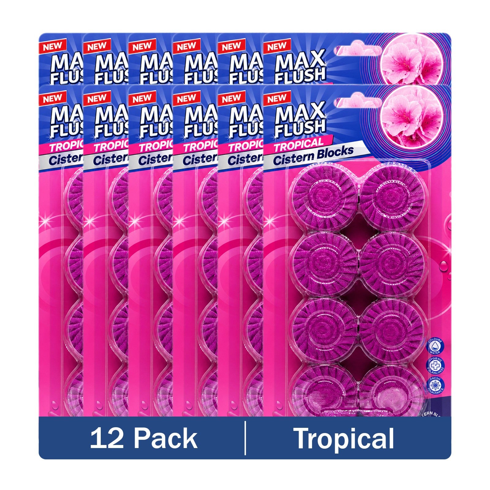 https://i.ebayimg.com/00/s/MTYwMFgxNjAw/z/~VIAAeSwm5BqBGLI/$_57.JPG?set_id=880000500F