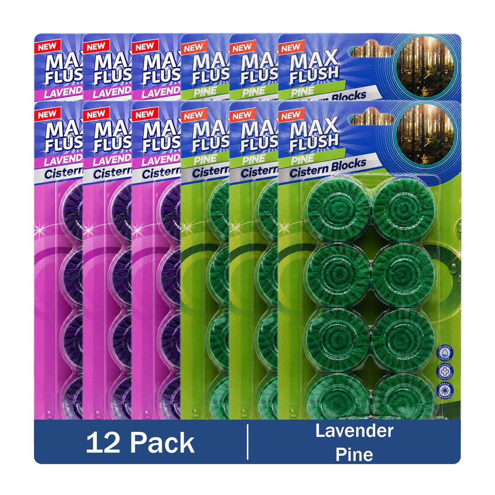 https://i.ebayimg.com/00/s/MTYwMFgxNjAw/z/hS8AAeSwv2hqBGO2/$_57.JPG?set_id=880000500F
