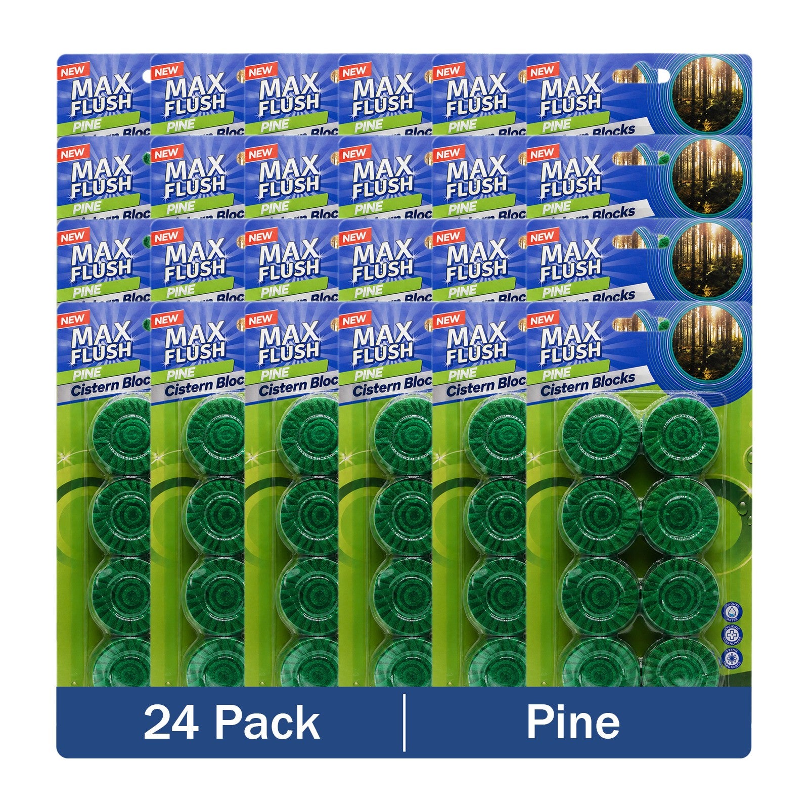 https://i.ebayimg.com/00/s/MTYwMFgxNjAw/z/NXgAAeSwJzdqBeYu/$_57.JPG?set_id=880000500F