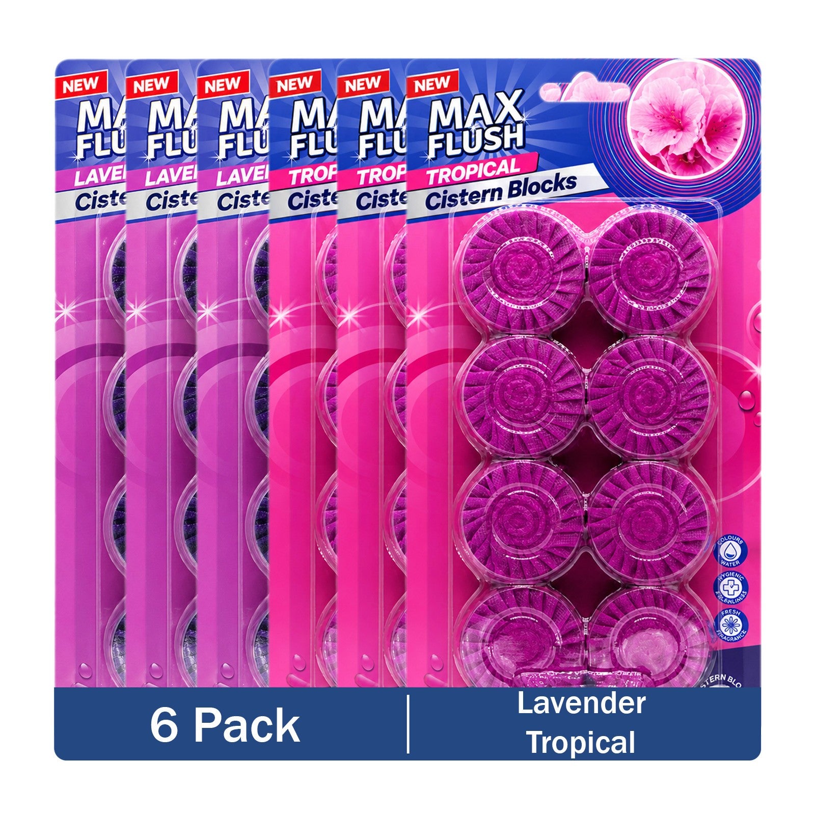 https://i.ebayimg.com/00/s/MTYwMFgxNjAw/z/NKkAAeSwtz5qBFnG/$_57.JPG?set_id=880000500F