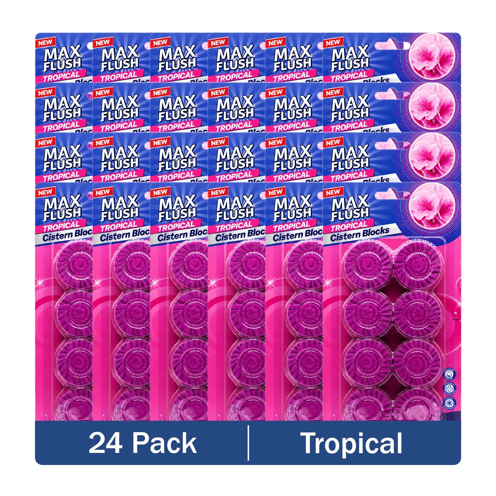 https://i.ebayimg.com/00/s/MTYwMFgxNjAw/z/uD4AAeSwJVVqBeYi/$_57.JPG?set_id=880000500F