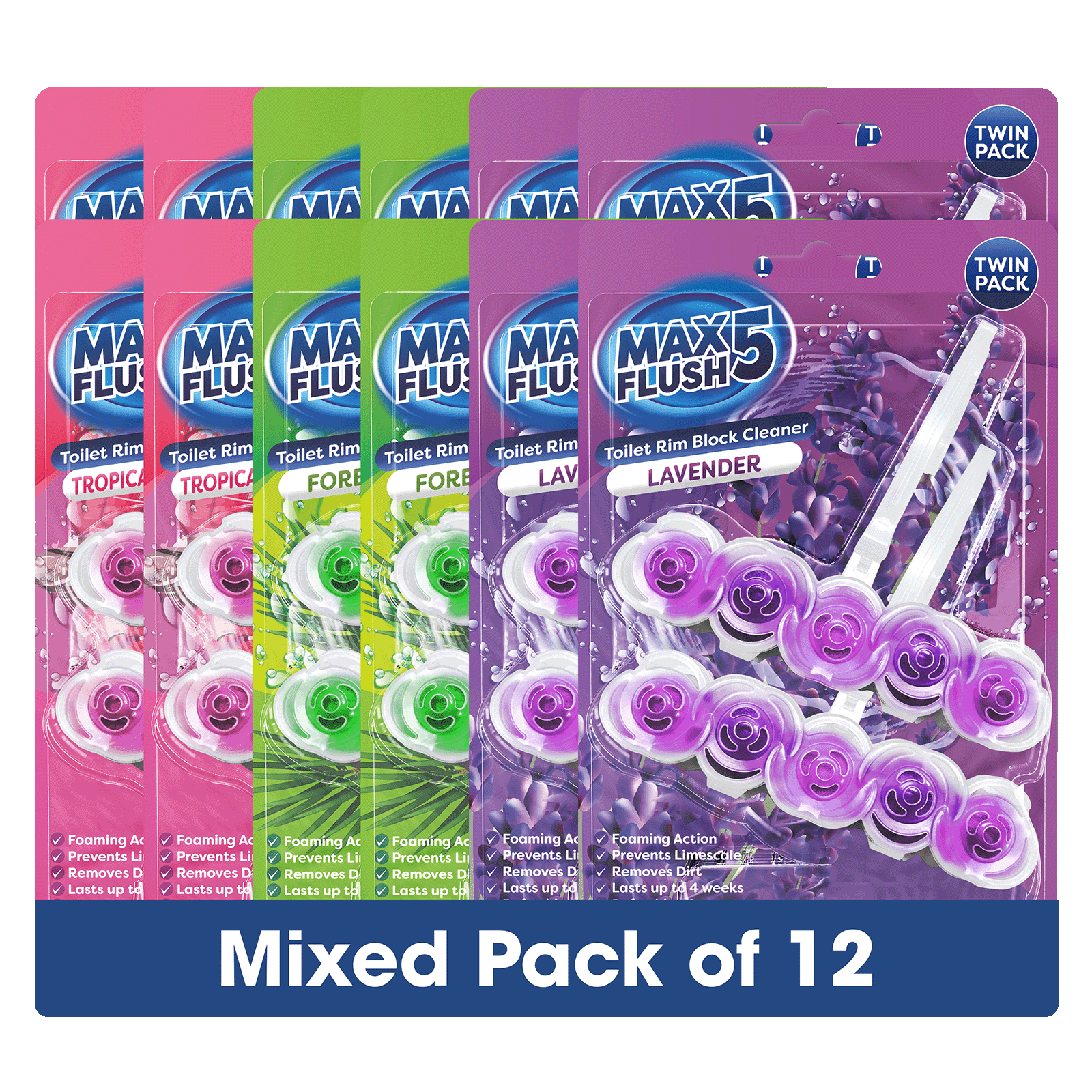https://i.ebayimg.com/00/s/MTYwMFgxNjAw/z/9xUAAeSw3Hxp1jC7/$_57.PNG?set_id=880000500F