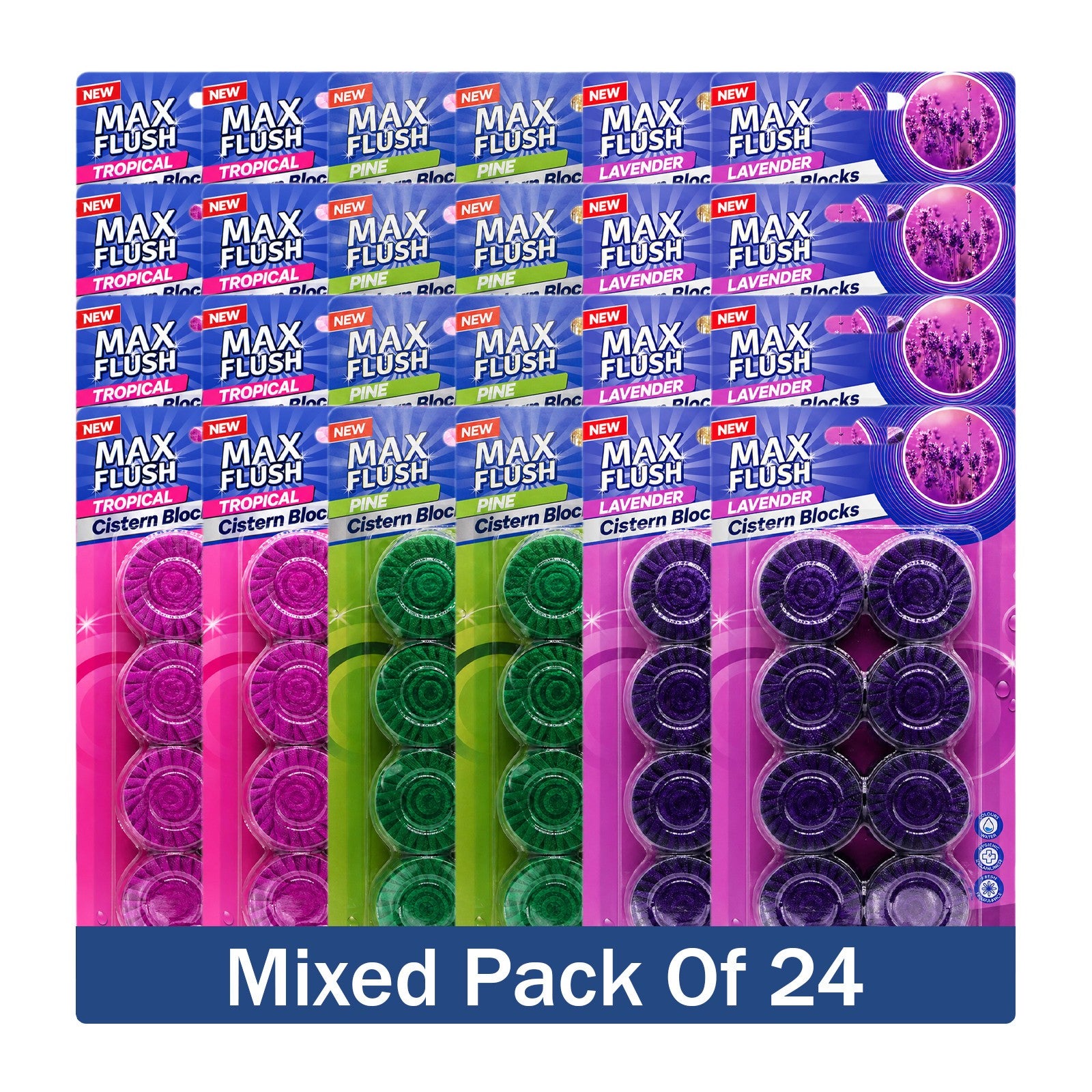 https://i.ebayimg.com/00/s/MTYwMFgxNjAw/z/wcQAAeSwl6ZqBea5/$_57.JPG?set_id=880000500F