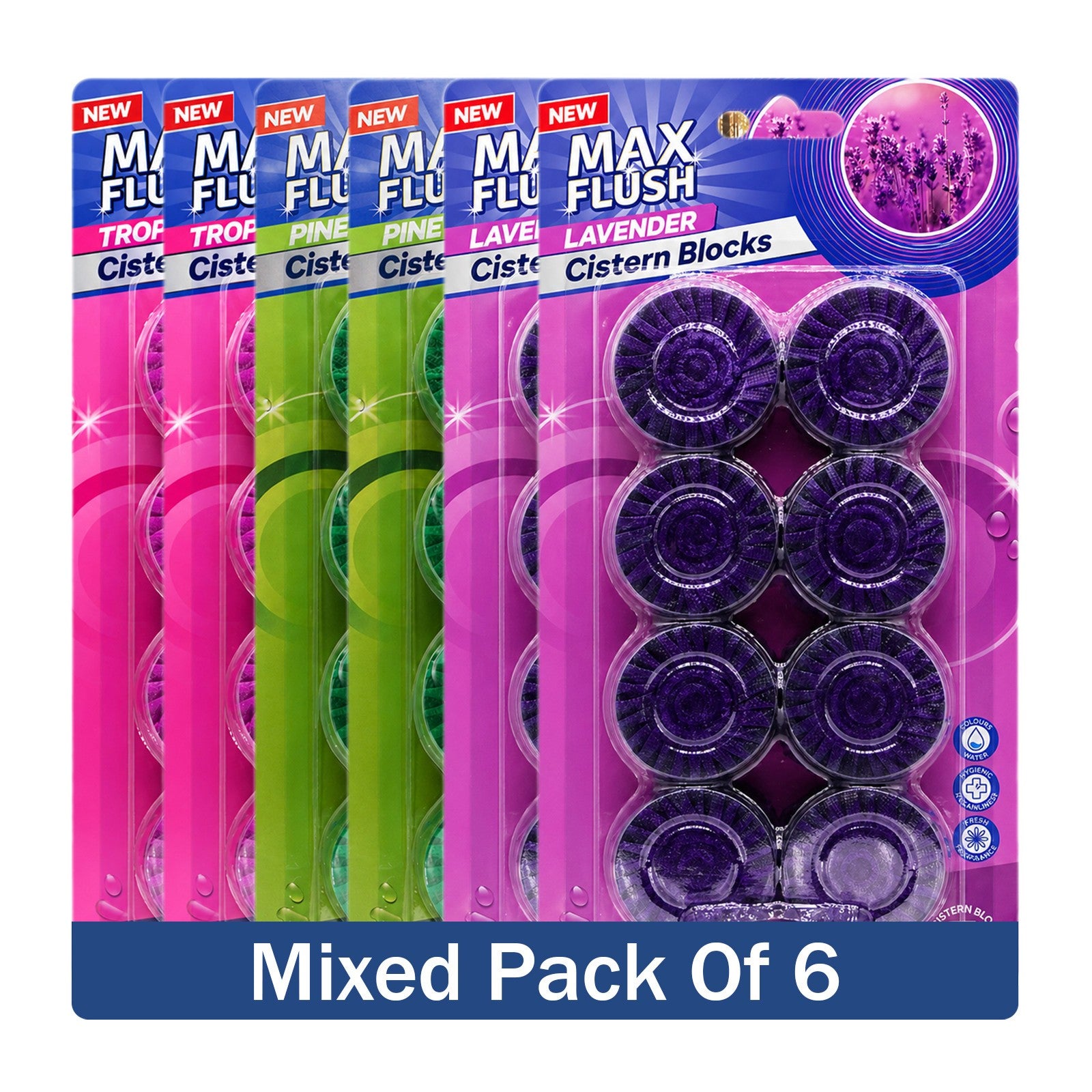 https://i.ebayimg.com/00/s/MTYwMFgxNjAw/z/gukAAeSwXSNqBFm2/$_57.JPG?set_id=880000500F