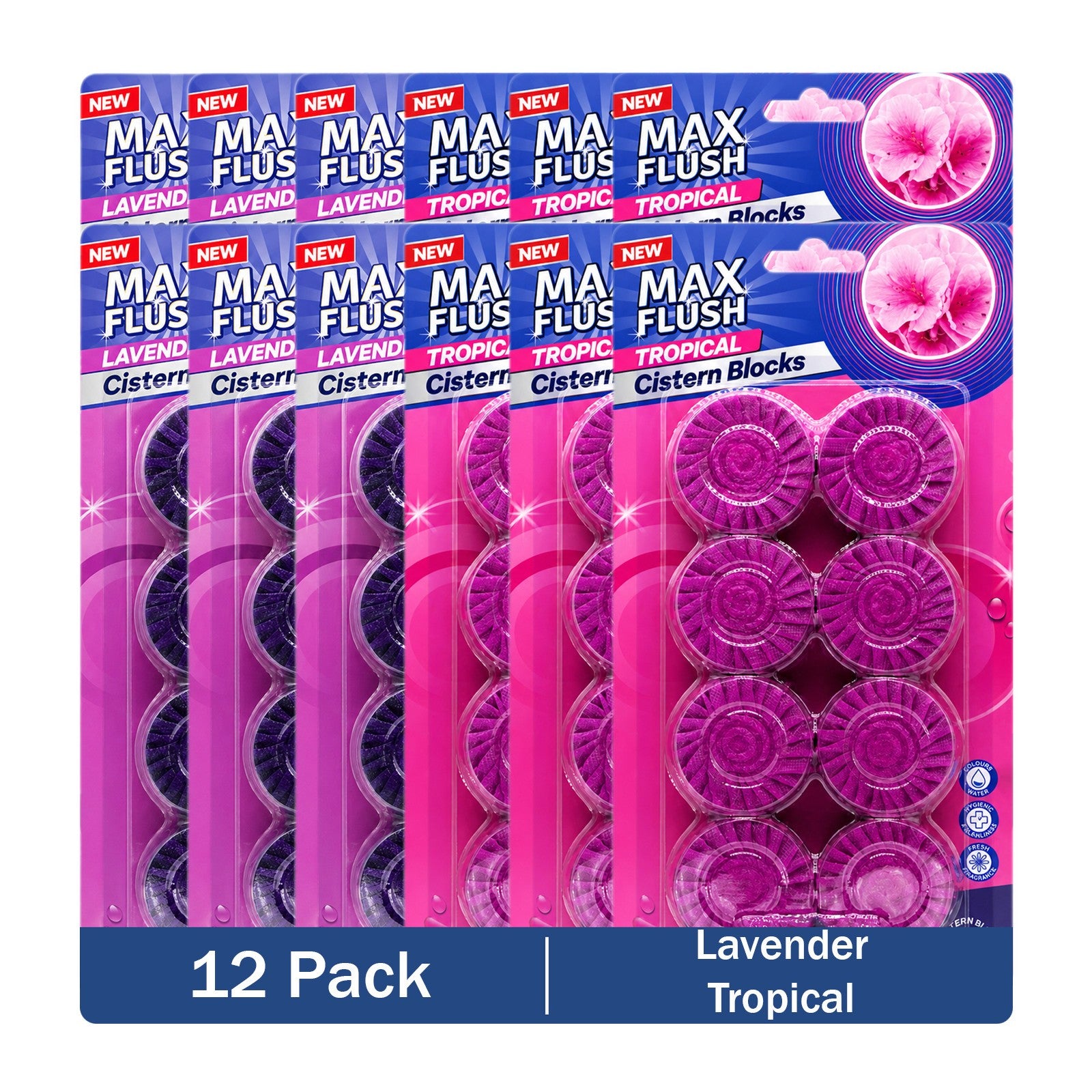 https://i.ebayimg.com/00/s/MTYwMFgxNjAw/z/3sgAAeSwwRFqBGMw/$_57.JPG?set_id=880000500F