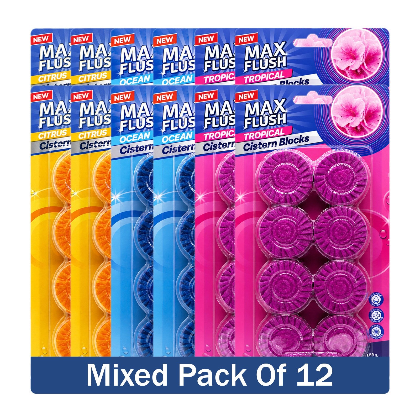 https://i.ebayimg.com/00/s/MTYwMFgxNjAw/z/8KMAAeSwH5FqBGNt/$_57.JPG?set_id=880000500F
