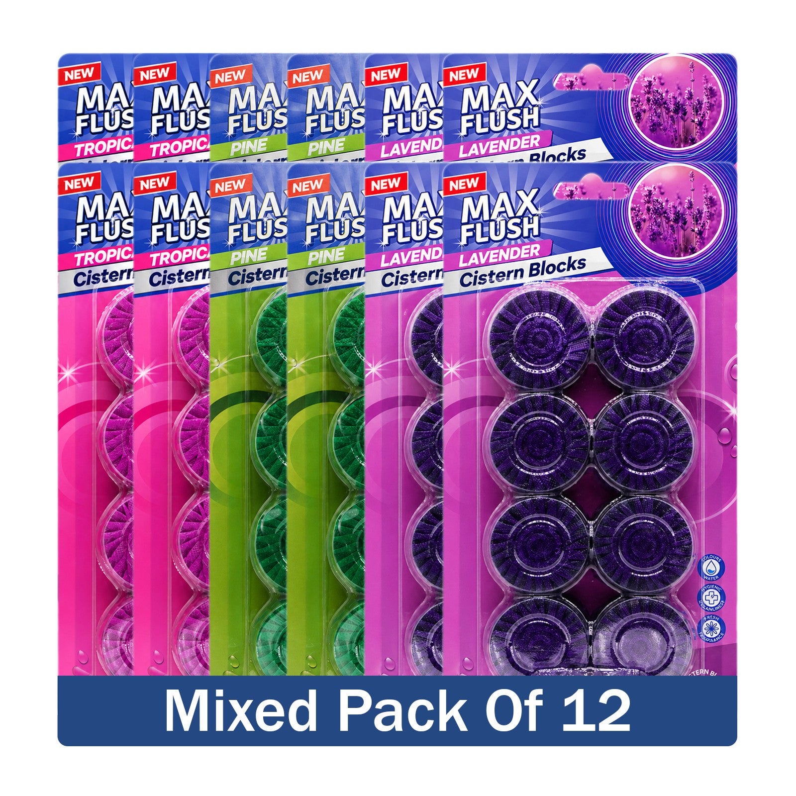 https://i.ebayimg.com/00/s/MTYwMFgxNjAw/z/hsAAAeSwrURqBGO-/$_57.JPG?set_id=880000500F