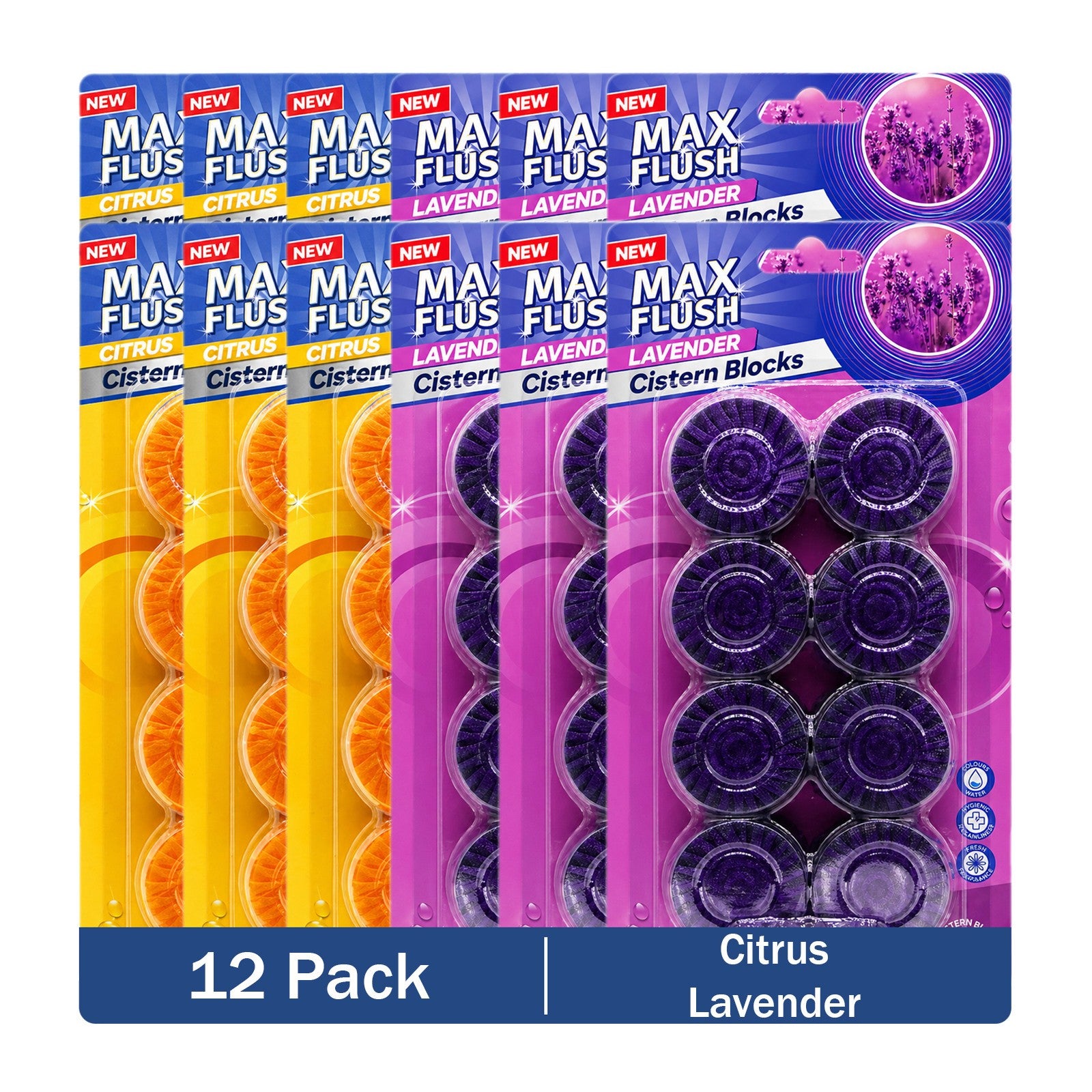 https://i.ebayimg.com/00/s/MTYwMFgxNjAw/z/cKkAAeSwN8dqBGPP/$_57.JPG?set_id=880000500F