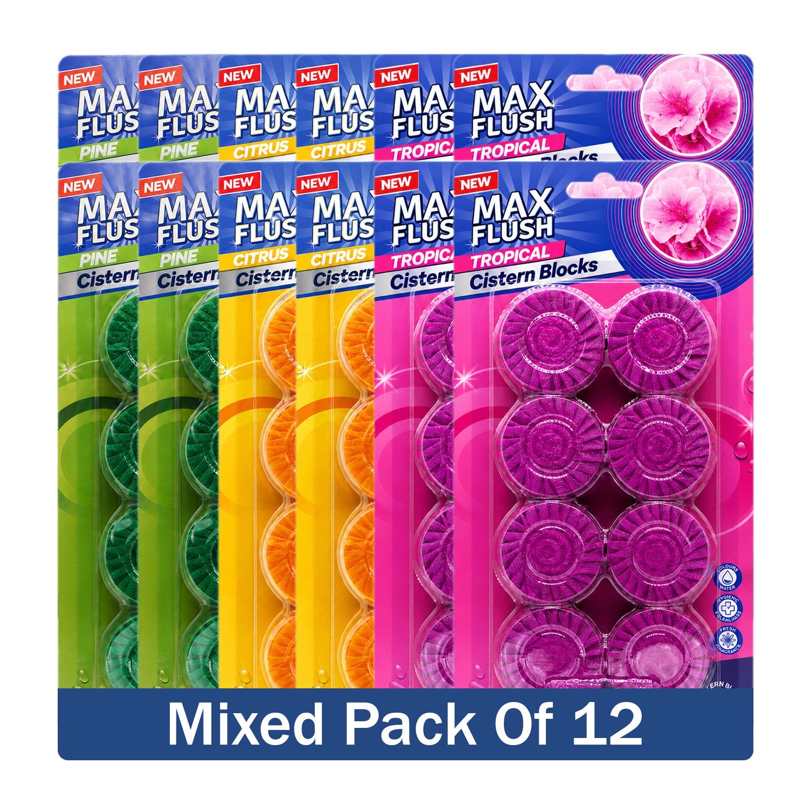 https://i.ebayimg.com/00/s/MTYwMFgxNjAw/z/ds4AAeSwPaJqBGPI/$_57.JPG?set_id=880000500F