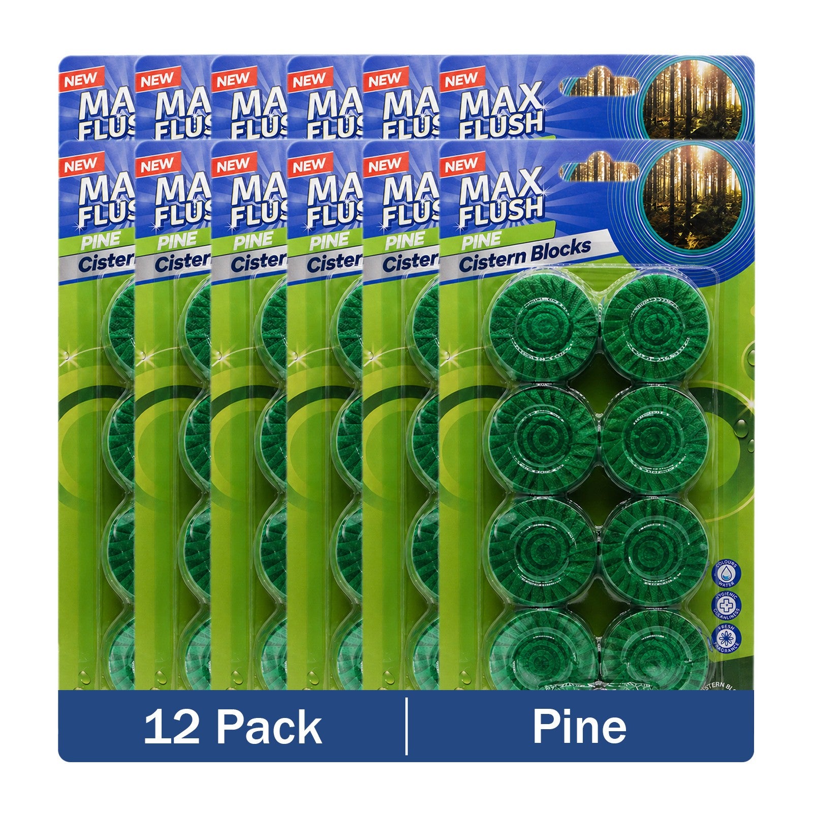 https://i.ebayimg.com/00/s/MTYwMFgxNjAw/z/w2oAAeSwsj1qBGLr/$_57.JPG?set_id=880000500F