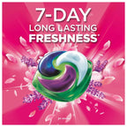46231451
