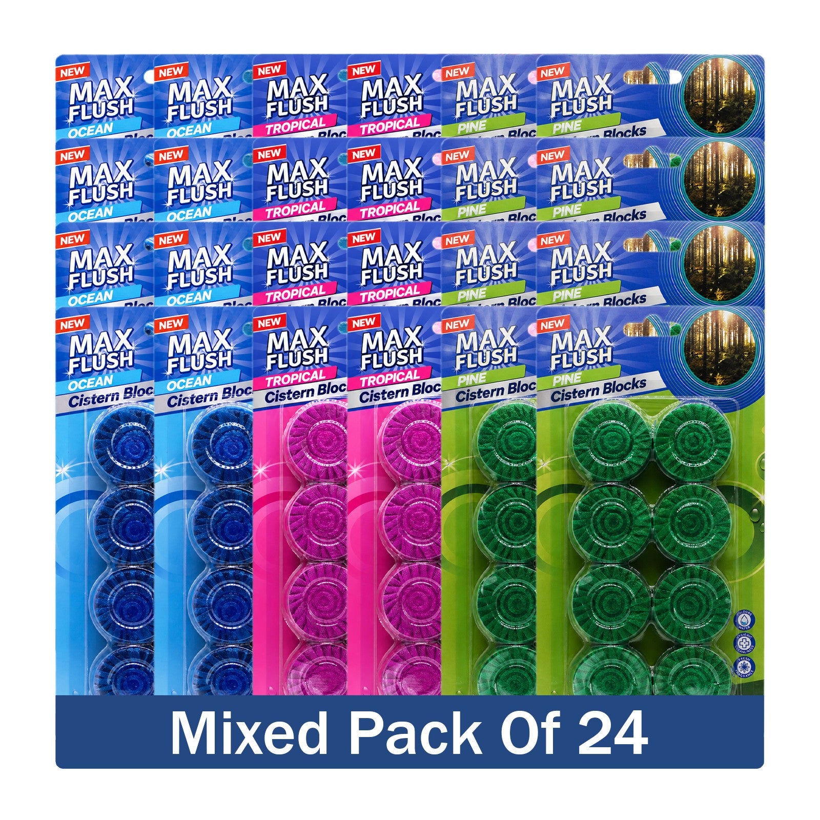 https://i.ebayimg.com/00/s/MTYwMFgxNjAw/z/4GkAAeSwM4hqBeZW/$_57.JPG?set_id=880000500F