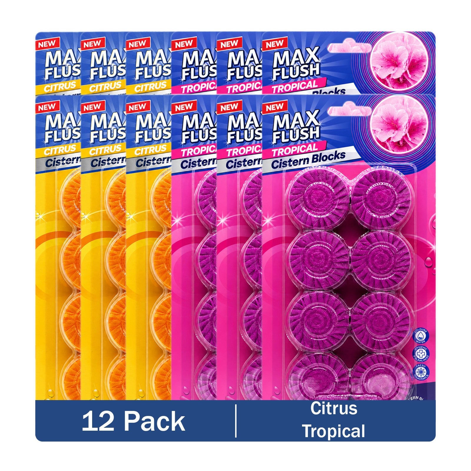 https://i.ebayimg.com/00/s/MTYwMFgxNjAw/z/nckAAeSwPKtqBGPW/$_57.JPG?set_id=880000500F