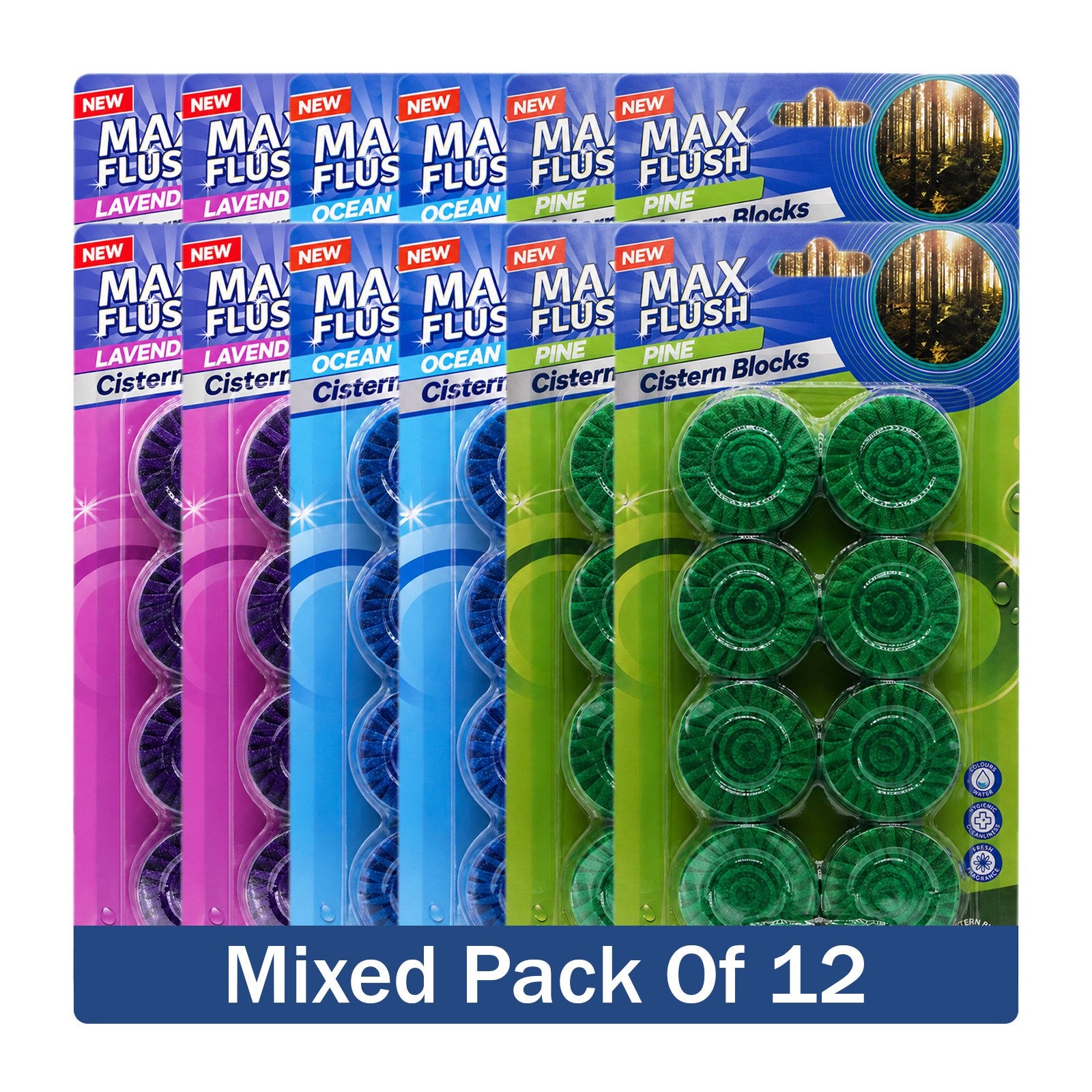 https://i.ebayimg.com/00/s/MTYwMFgxNjAw/z/-2wAAeSwzmBqBGOn/$_57.JPG?set_id=880000500F