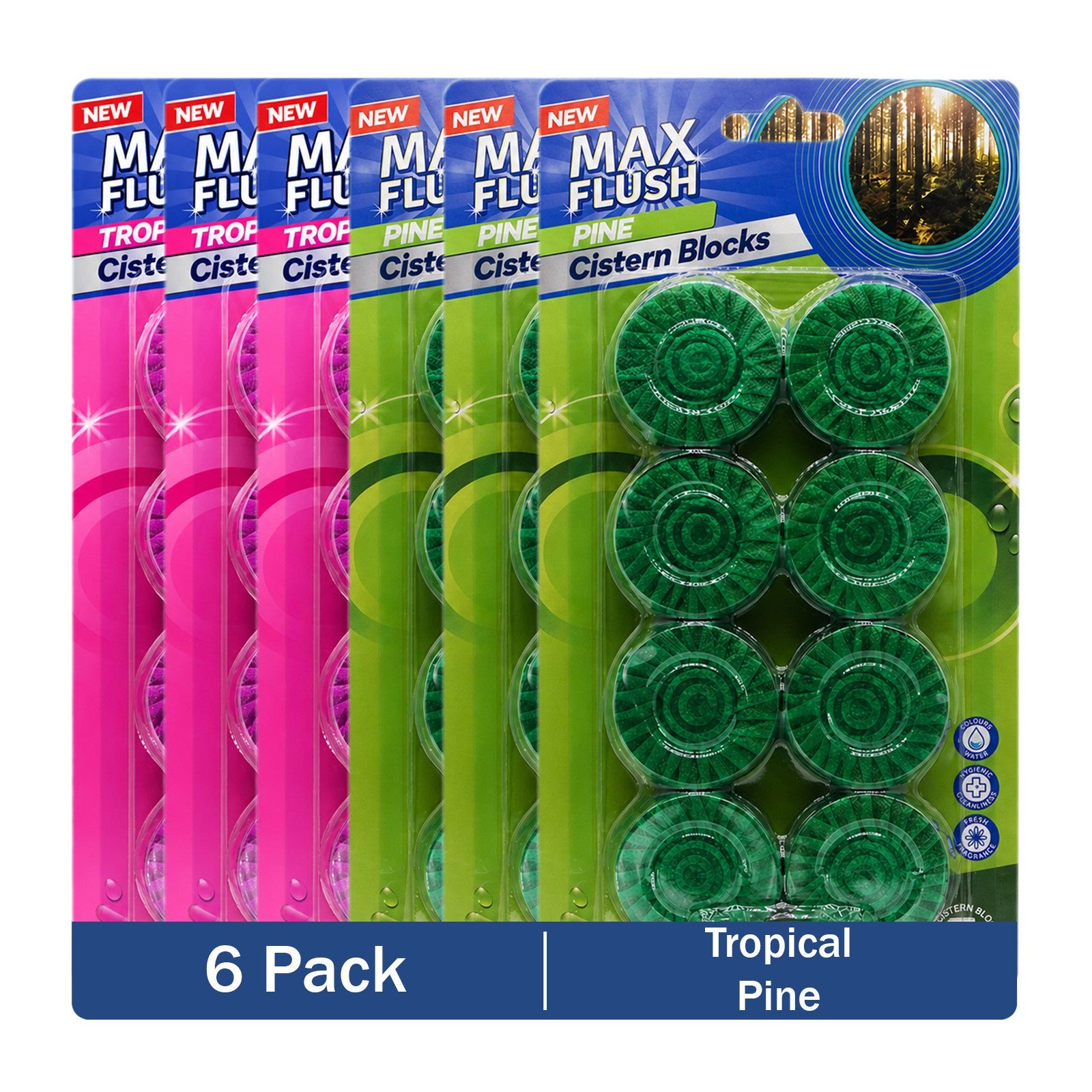 https://i.ebayimg.com/00/s/MTYwMFgxNjAw/z/PE8AAeSwnSNqBFpf/$_57.JPG?set_id=880000500F