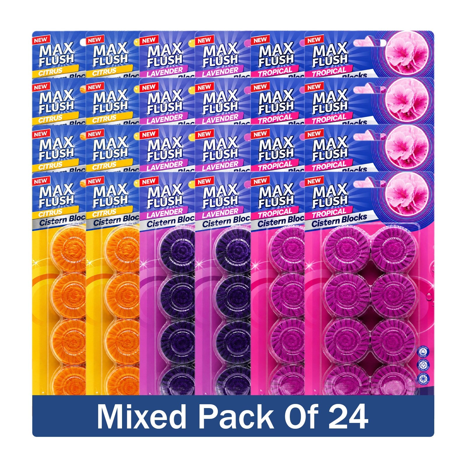 https://i.ebayimg.com/00/s/MTYwMFgxNjAw/z/VfsAAeSwY5xqBeaI/$_57.JPG?set_id=880000500F