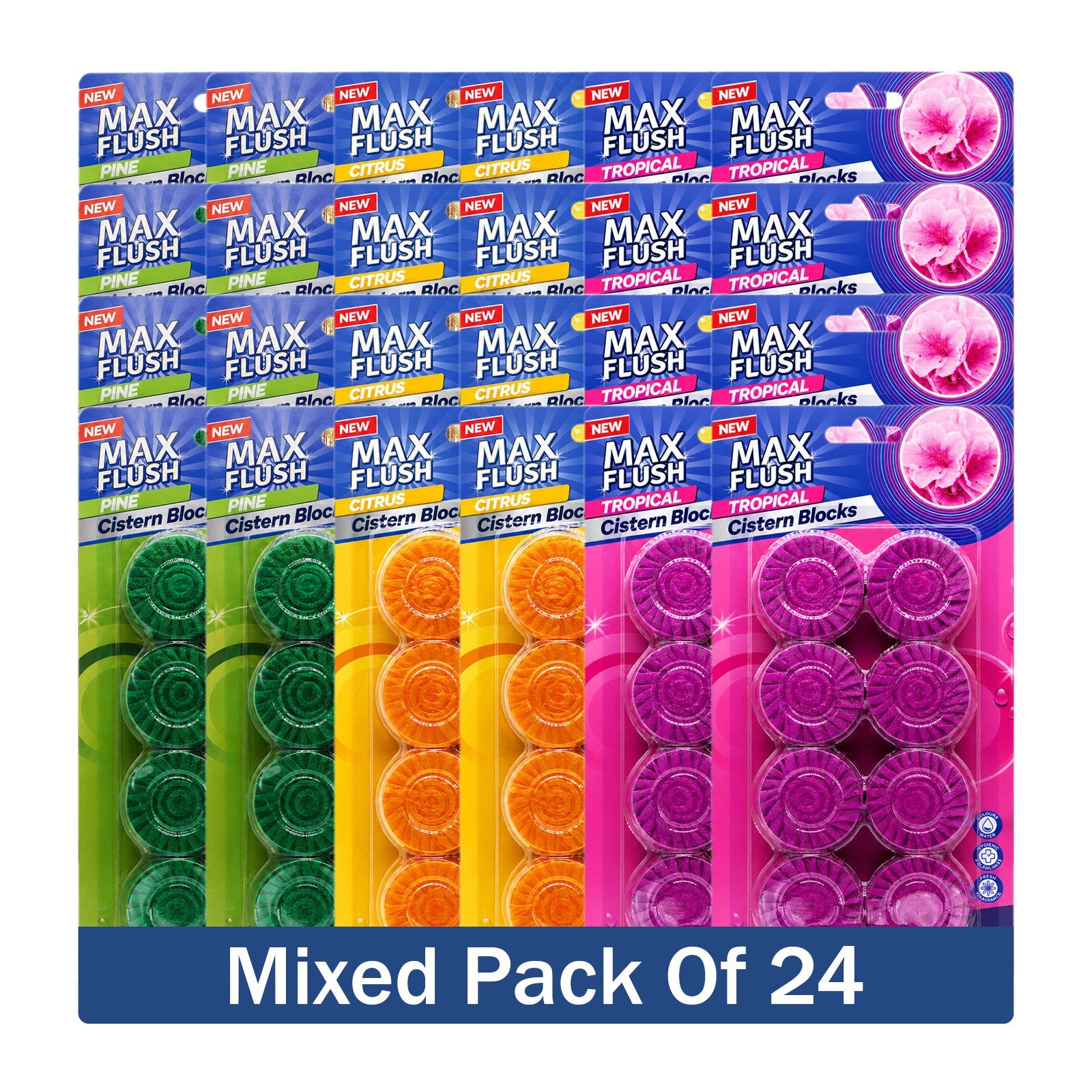 https://i.ebayimg.com/00/s/MTYwMFgxNjAw/z/O2gAAeSw7ztqBebA/$_57.JPG?set_id=880000500F