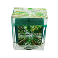 Scented Candle 7oz/198g - Balsam & Cedar