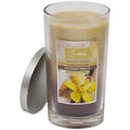 True Living 17oz/482g Jar - Tahitian Vanilla, Sugar & Coconut Vanilla