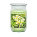 Candle Jar 17oz/482g - Honeysuckle