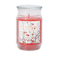 Candle Jar 17oz/482g - Iced Winterberries