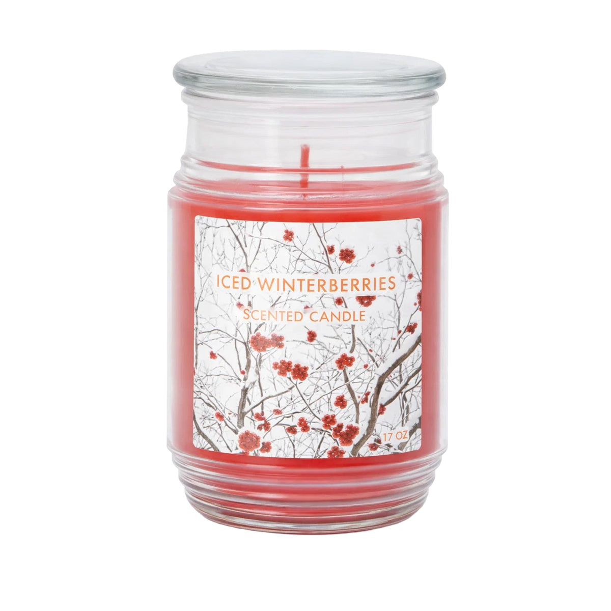 Candle Jar 17oz/482g - Iced Winterberries