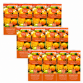 12x Perfect Scents Floroma Disinfectant Liquid  180ml