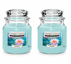 Yankee Candle Large Jar Candles Pack of 2, 340g Each, Long Lasting Fragrance Home Scented Candles