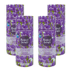 Perfect Scents In-Wash Scent Booster 200g Pack of 4, Laundry Fragrance Beads, Long Lasting Freshness, 800g Total