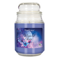 Starlytes 18oz/510g Jar - Moonlit Skies