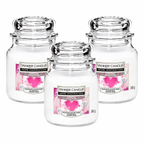 Yankee Candle Jar 340g, Pack Of 3, Home Fragrance Scented Candle, Long Lasting Glass Jar Candle for Home