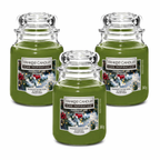 Yankee Candle Jar 340g, Pack Of 3, Home Fragrance Scented Candle, Long Lasting Glass Jar Candle for Home