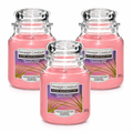 Yankee Candle Jar 340g, Pack Of 3, Home Fragrance Scented Candle, Long Lasting Glass Jar Candle for Home