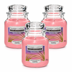 Yankee Candle Jar 340g, Pack Of 3, Home Fragrance Scented Candle, Long Lasting Glass Jar Candle for Home