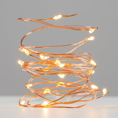 Minisun 2m Copper 20 Light LED Chain Light Festive/Decorative